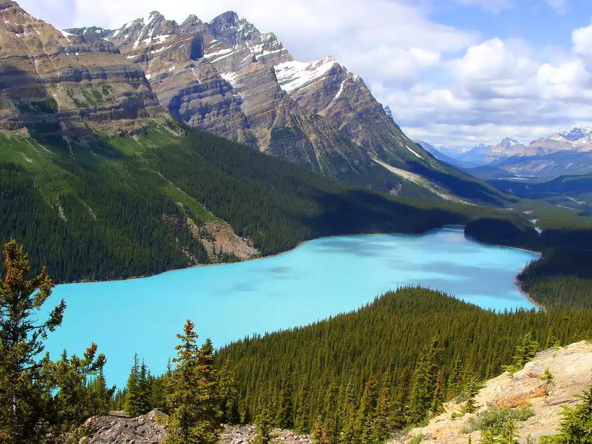 Peyto Lake Canadian Rockies