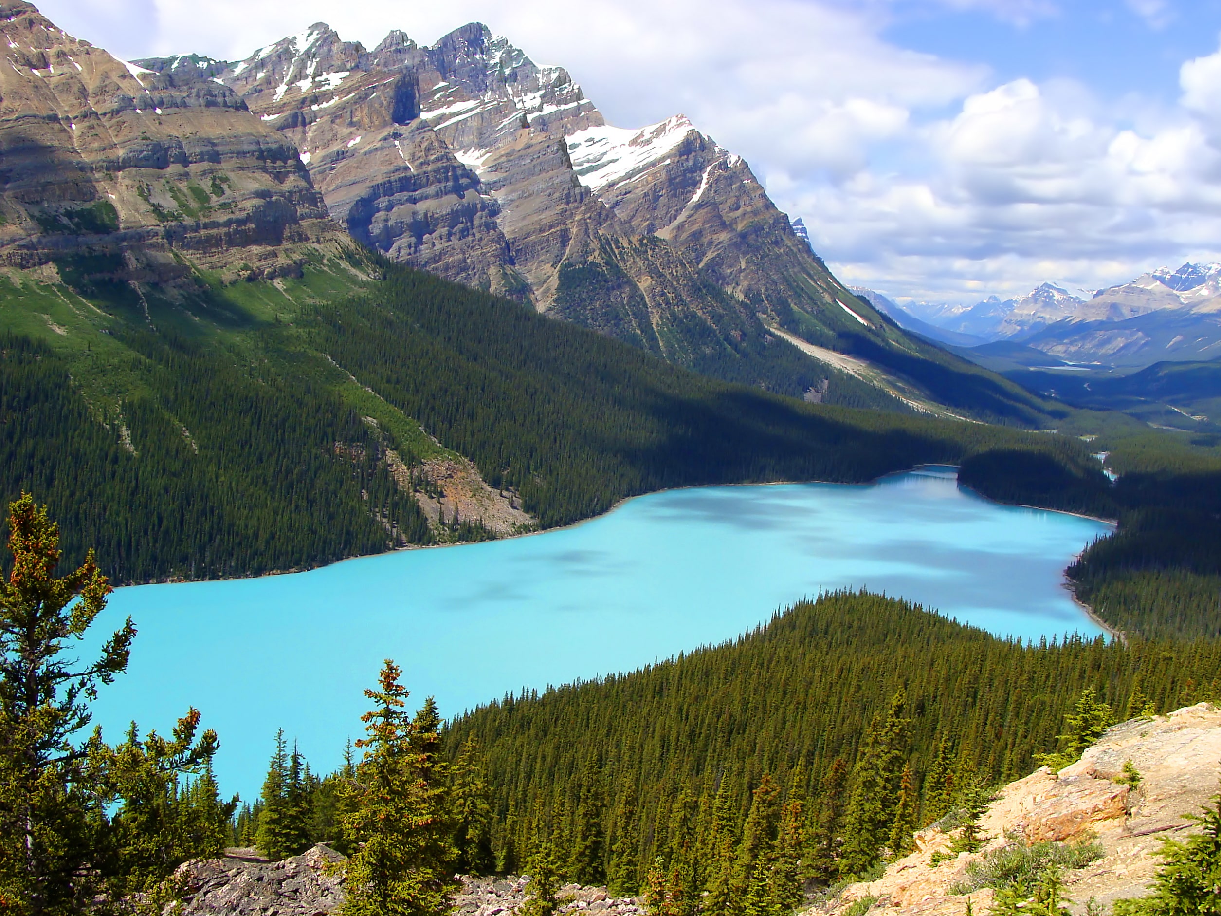Peyto Lake Canadian Rockies