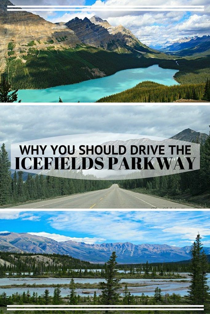 WHY YOU SHOULD DRIVE THE ICEFIELDS PARKWAY