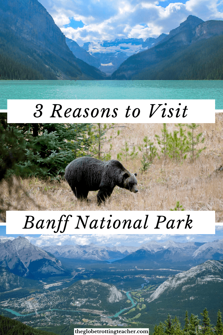 3 Reasons to Visit Banff National Park Immediately