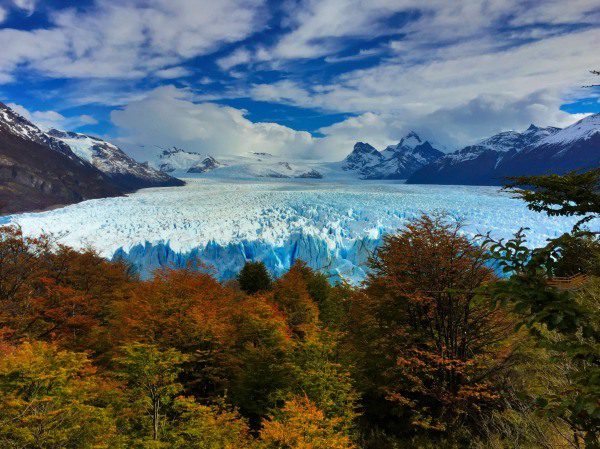 Perito Moreno Glacier with the fall foliage