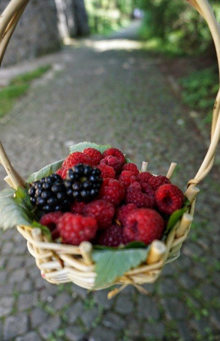 Sinaia Romania berry basket