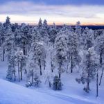 Snowshoeing in Luosto Finland and Its Wonderful Winter Wilderness
