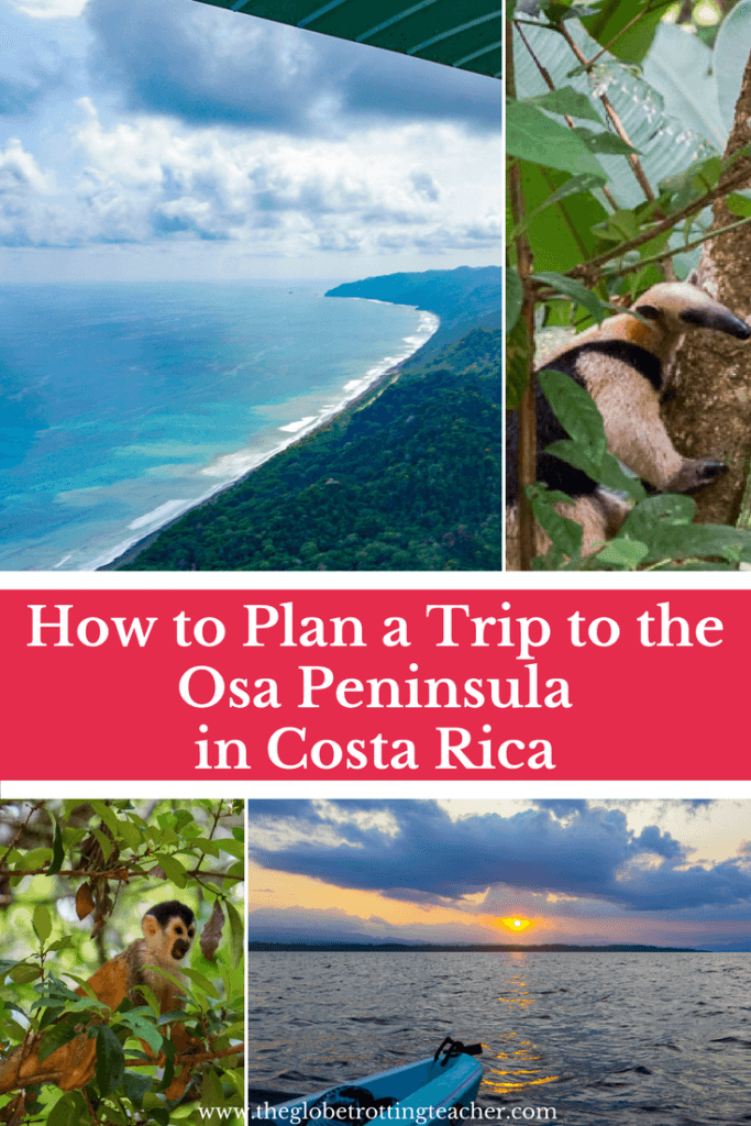 How to Plan a Trip to the Osa Peninsula in Costa Rica