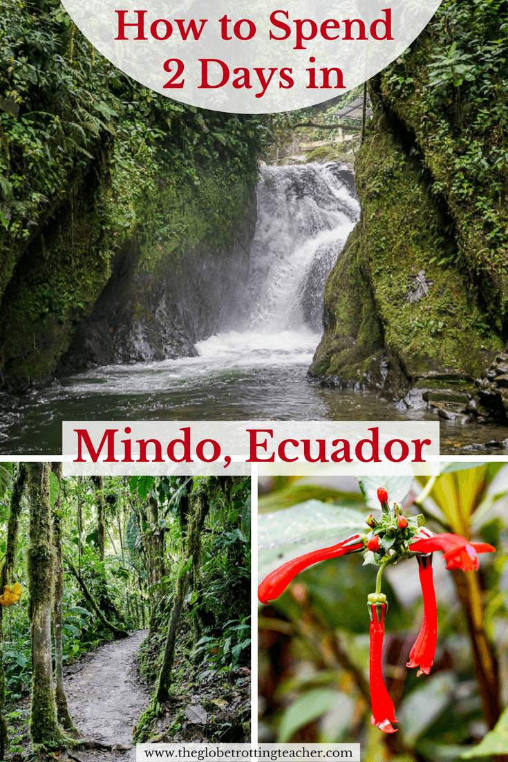 How to Spend 2 Days in the Mindo Cloud Forest