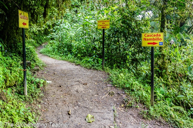 Mindo Ecuador Cloud forest waterfall hiking trails
