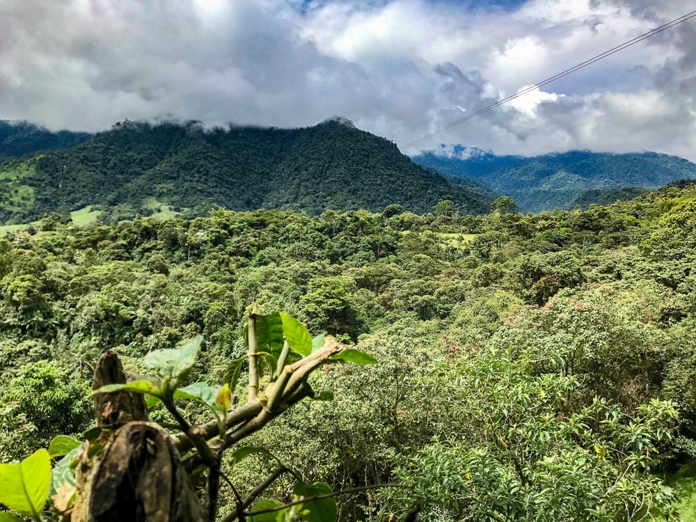 Mindo Ecuador Cloud Forest