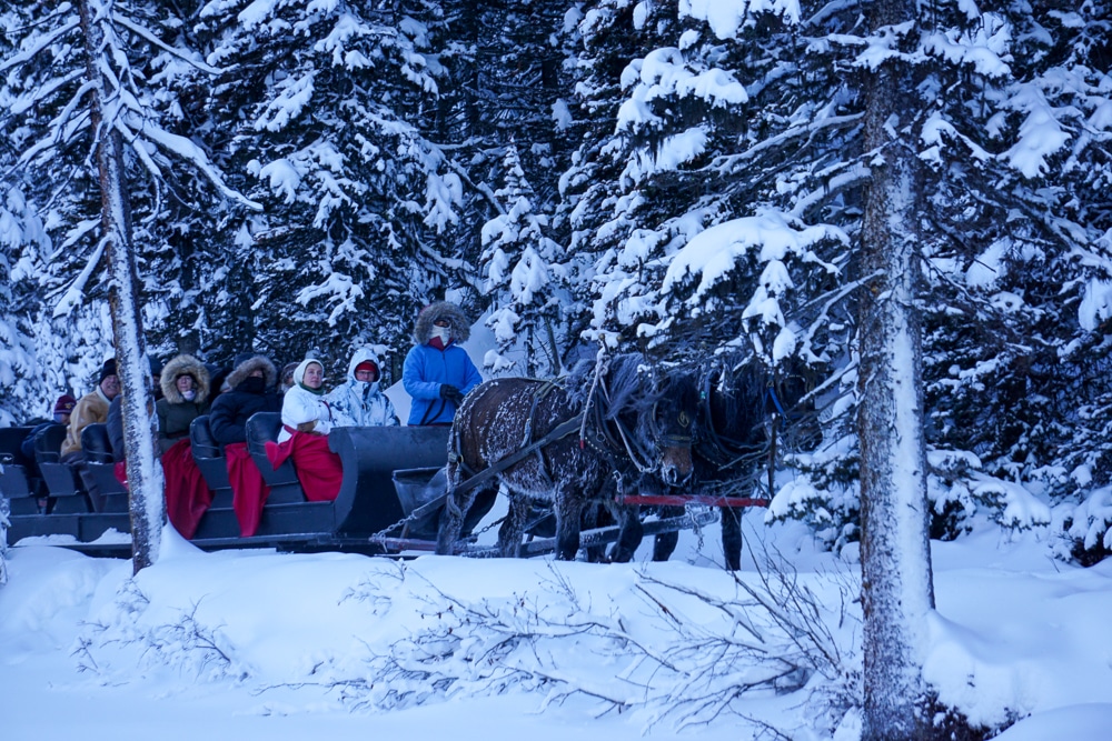 Horse-drawn sleigh ride at Lake Louise in Banff National Park in winter