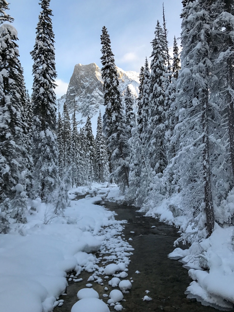 Emerald Lake forest trails in Yoho National Park - covered in snow, near Banff in the Canadian Rockies