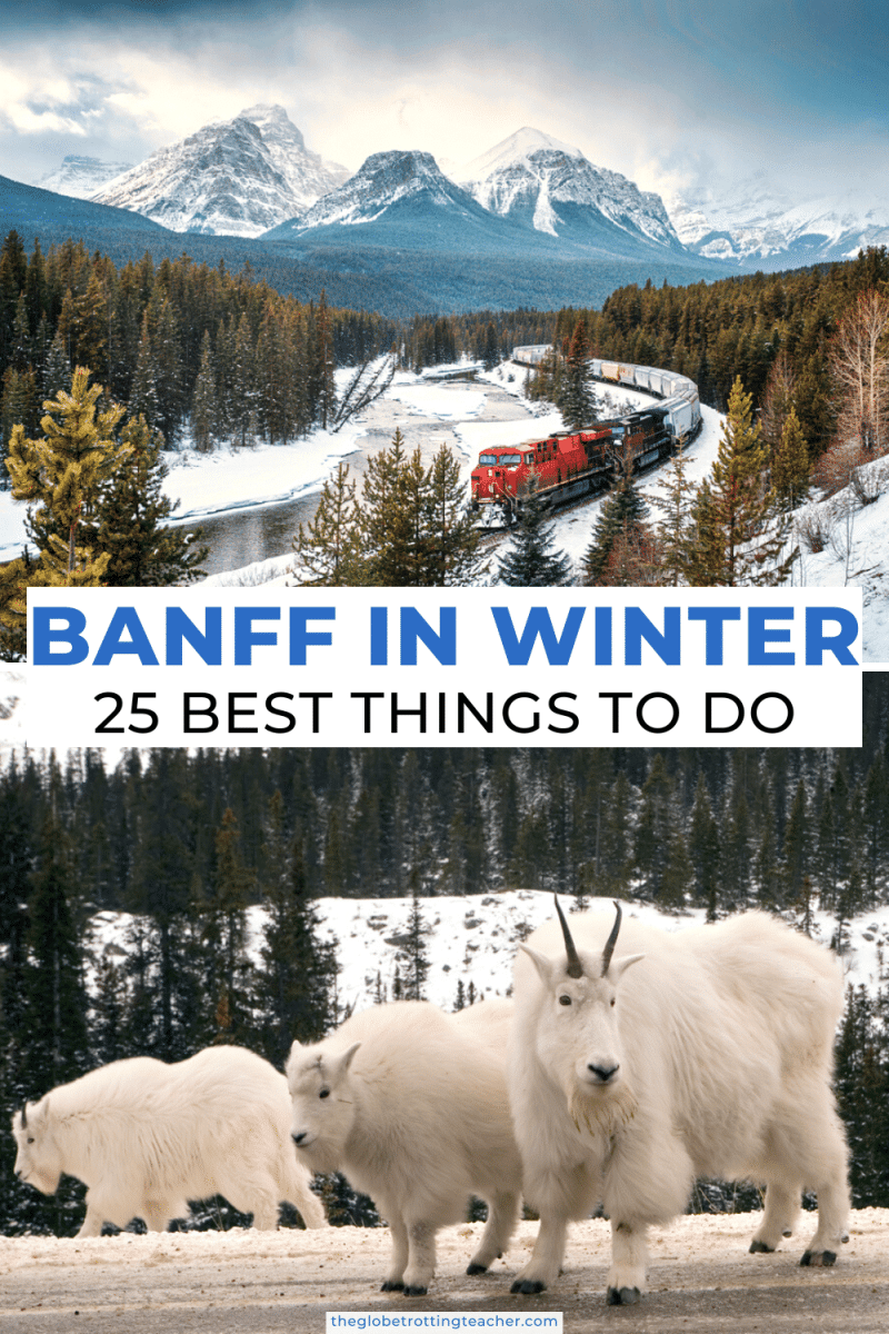 Things to do in banff in winter Pinterest pin using white mountain goat and morant's curve photos