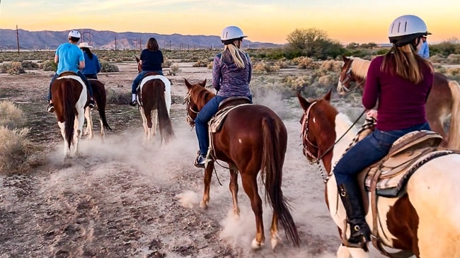 Tempe Arizona Horseback riding