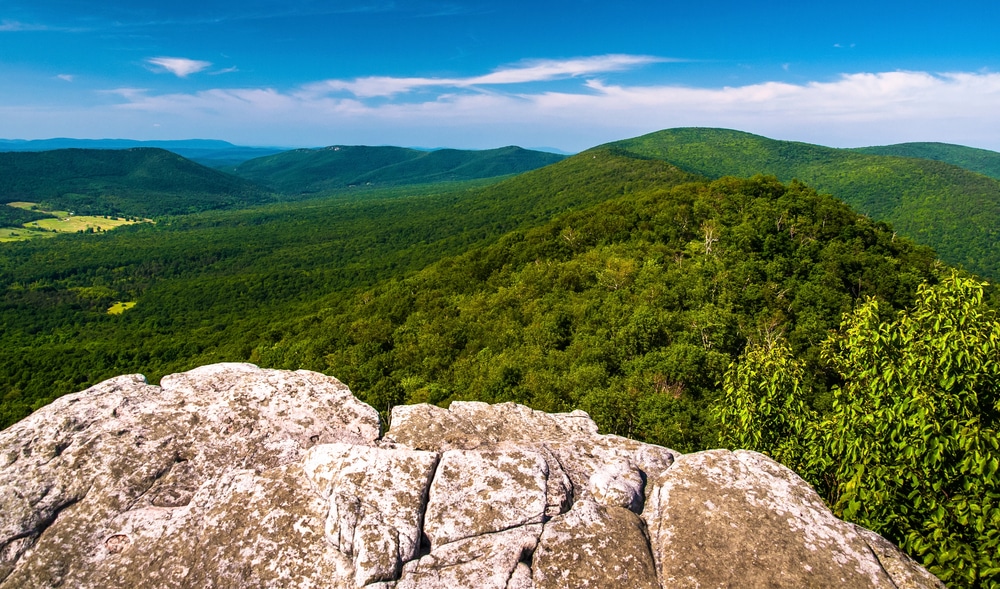 Standing on a rock overlooking a forest in the Appalachian Valley