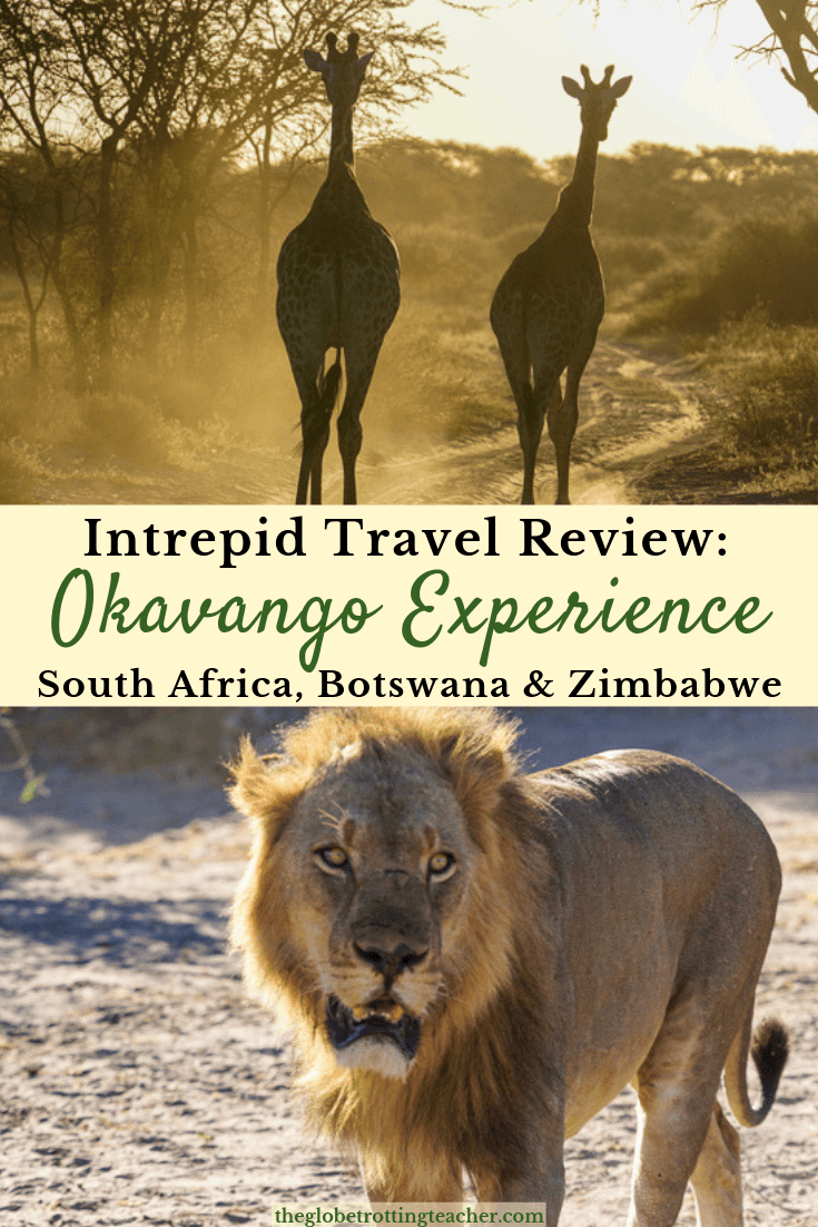 Intrepid Travel Review -Okavango Experience