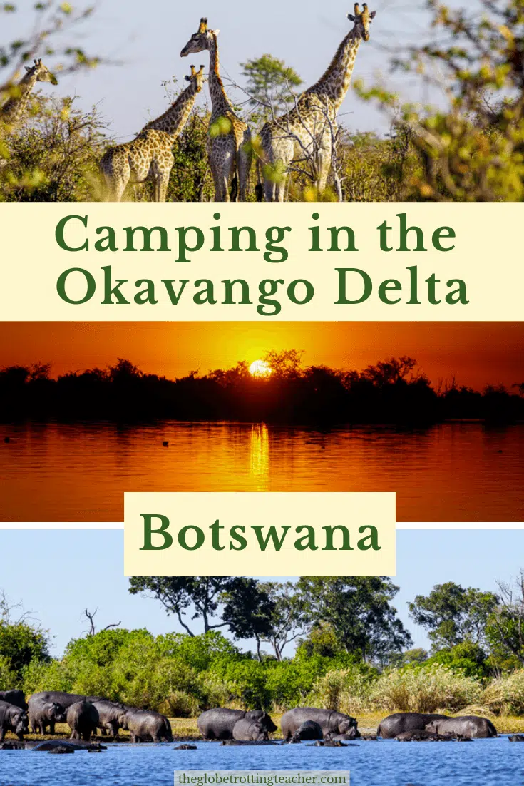 Okavango Delta Camping: An Unforgettable Experience in the Wild