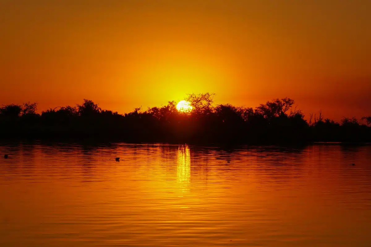 Sunset from a mokoro in the Okavango Delta in Botswana