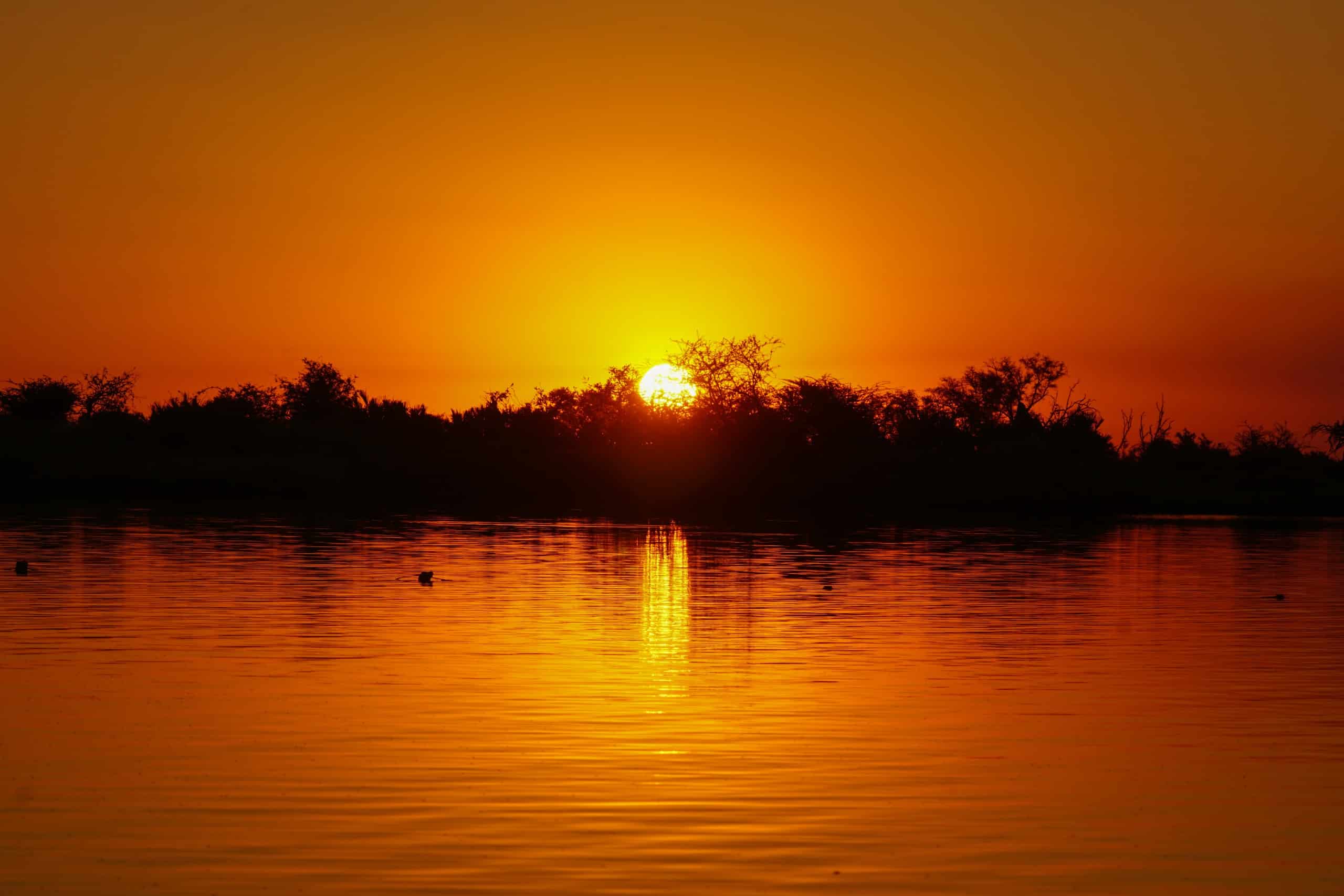 Sunset from a mokoro in the Okavango Delta in Botswana