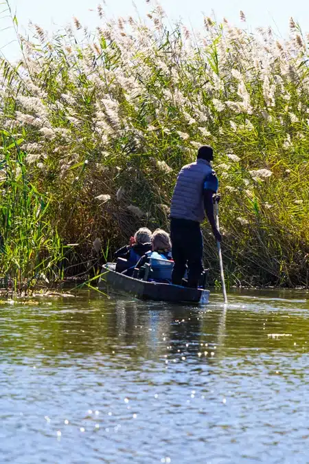 Okavango Delta mokoro safari