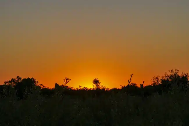 Okavango Delta Sunset