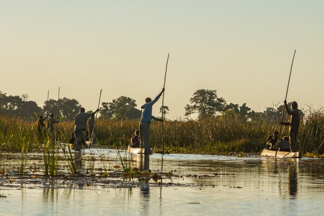 Okavango Delta Sunset Mokoro safari