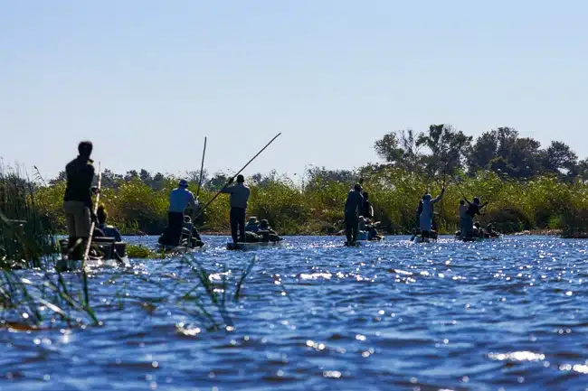 Okavango Delta Botswana