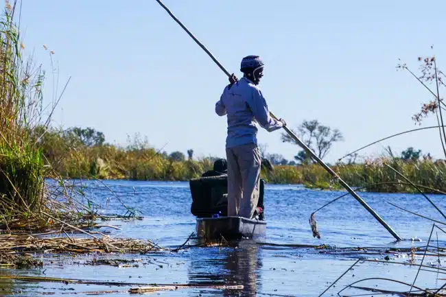 Okavango Delta camping Leaving on the mokoro