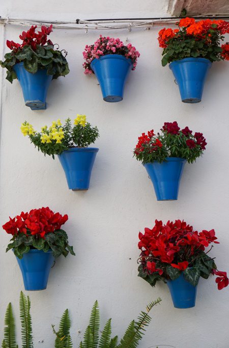Cordoba Spain Hanging Flower Pots