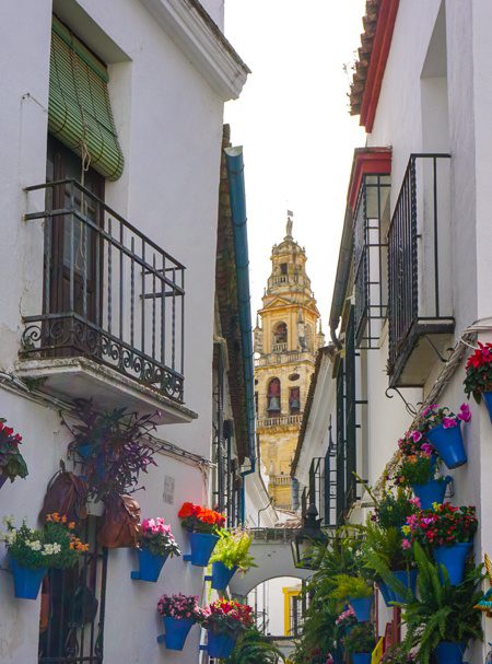 Flower Street - Cordoba Spain