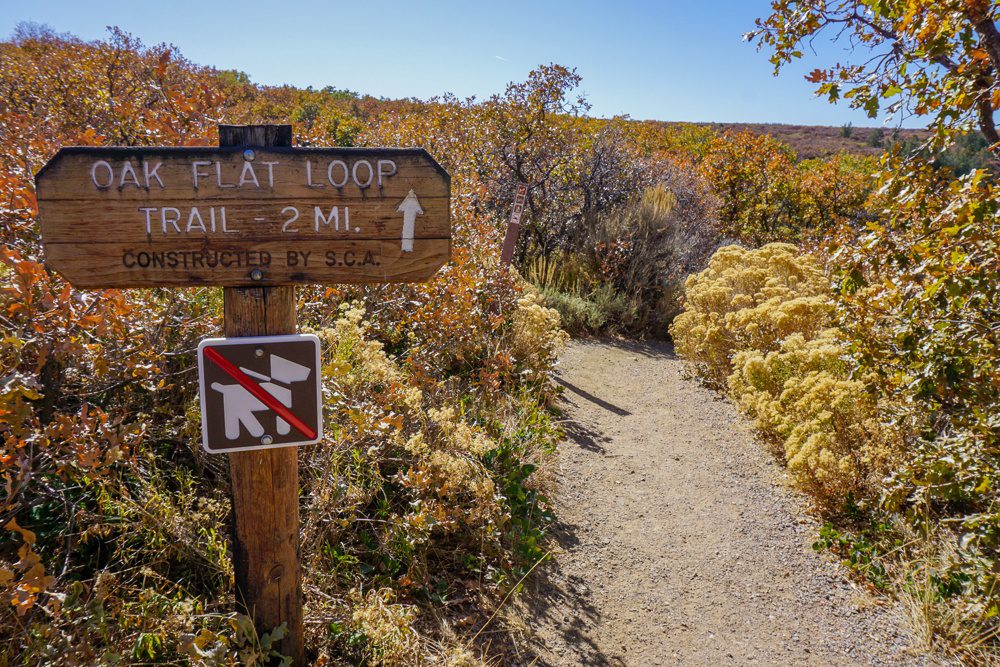 black canyon of the gunnison national park Colorado