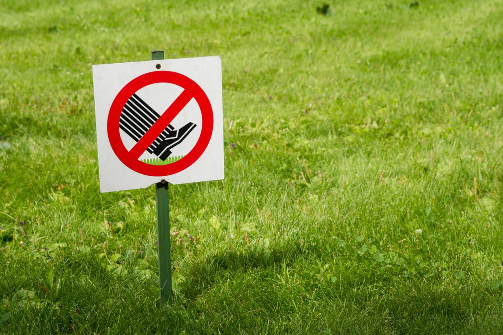 Photo of warning sign, which is meaning that walking on grass is strictly prohibited. The sign is installed in the park on the edge of the lawn area.