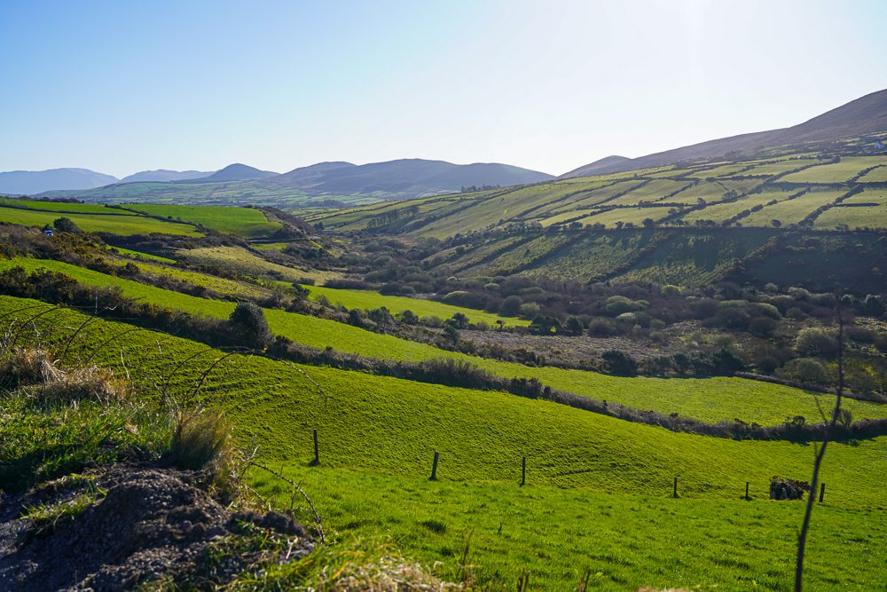 Countryside Views Dingle Peninsula Ireland