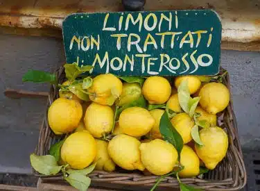 Basket of lemons in Cinque Terre Italy