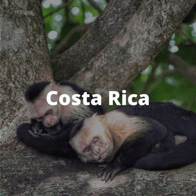 Costa Rica Destination Page