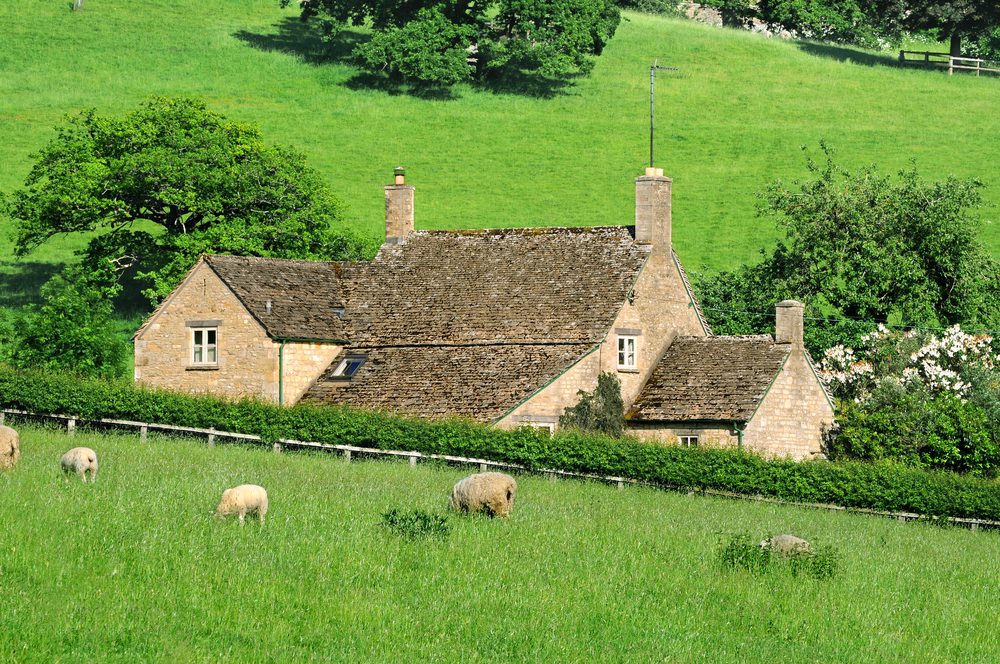 Cotswolds UK Cottage rooftops with sheep grazing in the meadow