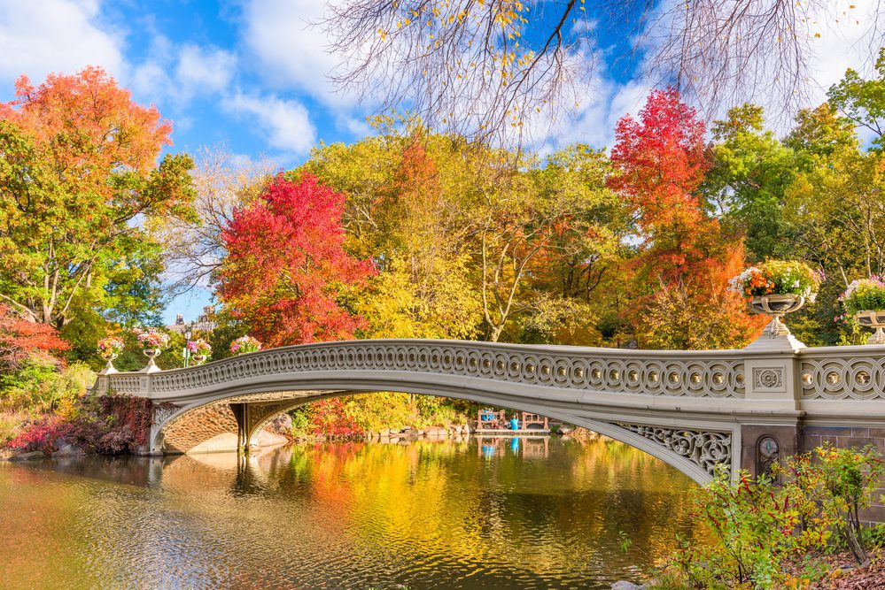 Central Park, New York City, USA at the Lake in autumn season.