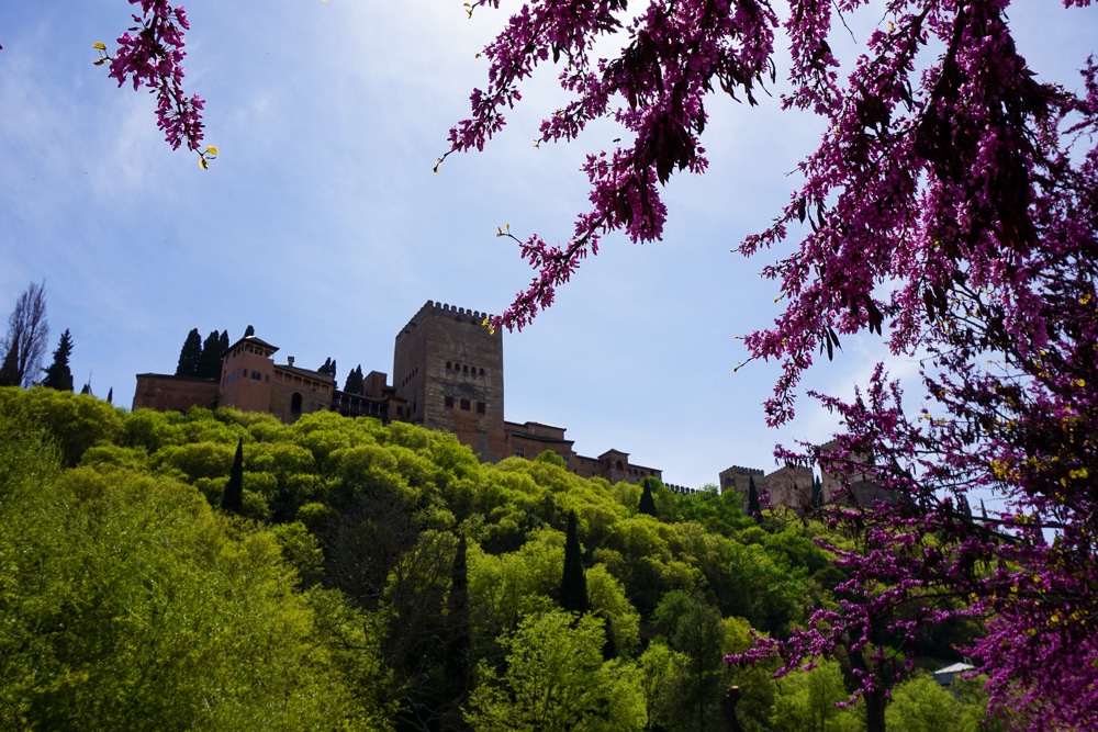 Looking up at the Alhambra in Granada Spain from the hill below