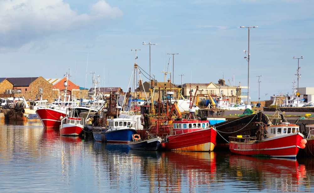 Howth Ireland harbor with fishing boats 