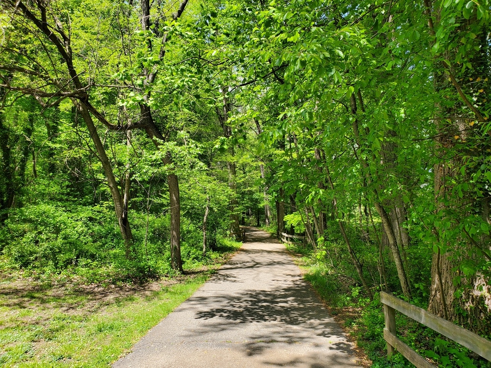 Beautiful green trees along the hiking trail near Bellevue Park, Wilmington, Delaware, U.S