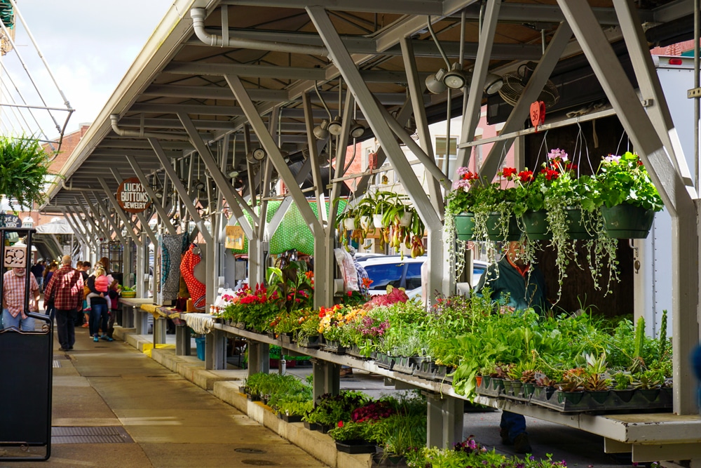 Farmers Market in Roanoke Virginia