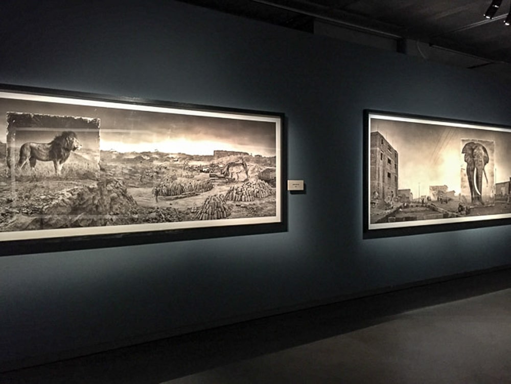 Gallery inside the Fotografiska Museum, black walls with 2 framed photographs on display