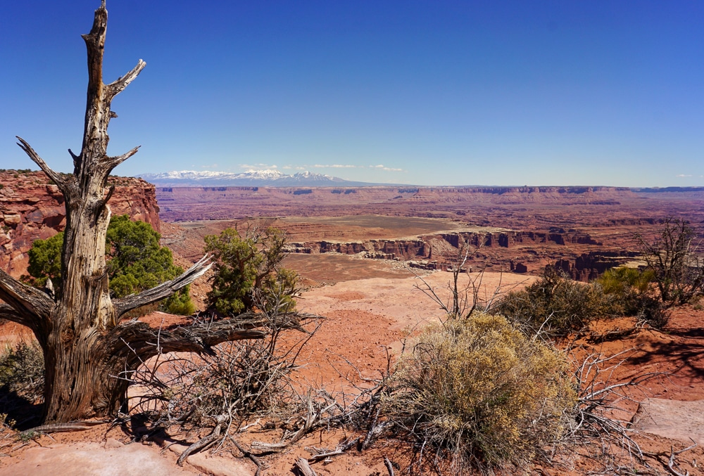 View of Canyonlands National Park in Utah