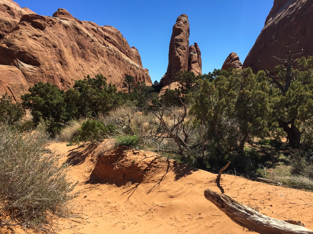 desert landscape with red rock formations in shrubbery in Utah