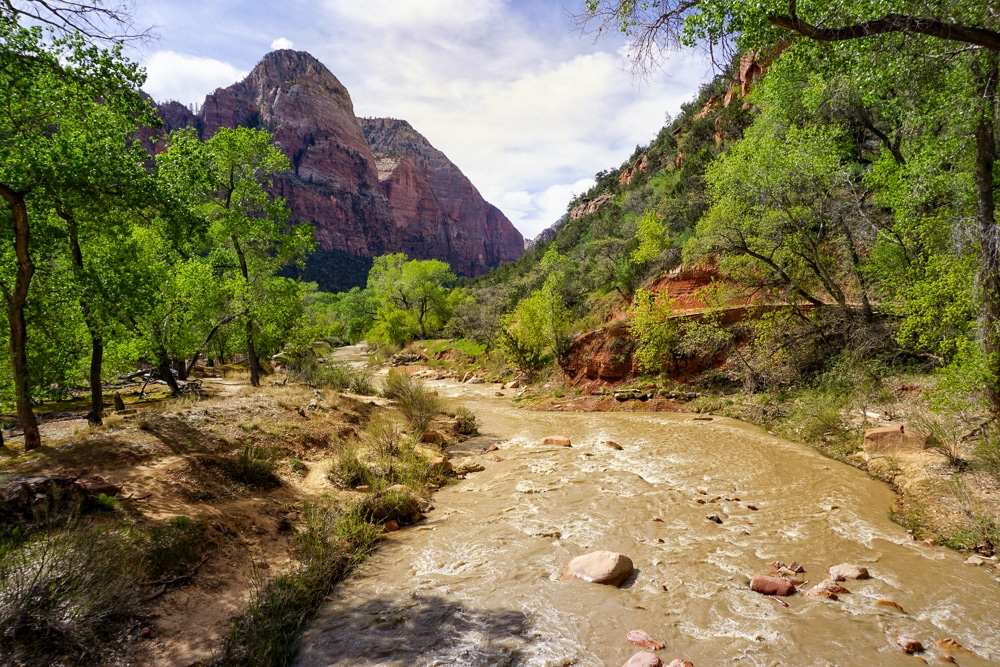 Virgin River with mountains and green trees in Zion National Park in Utah