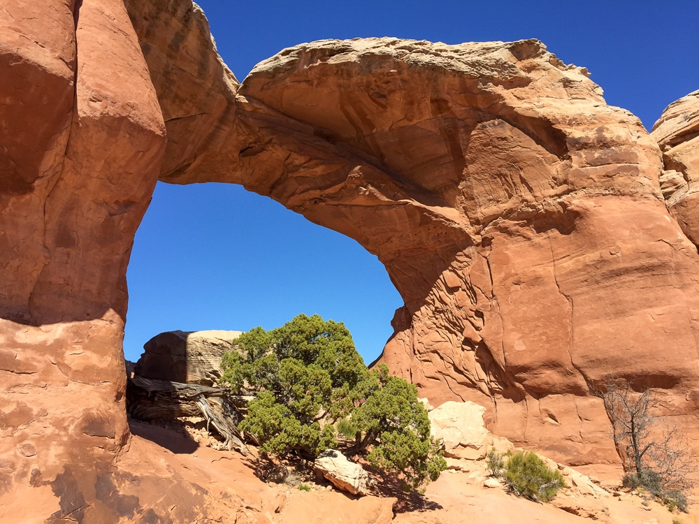 Arches National Park Utah