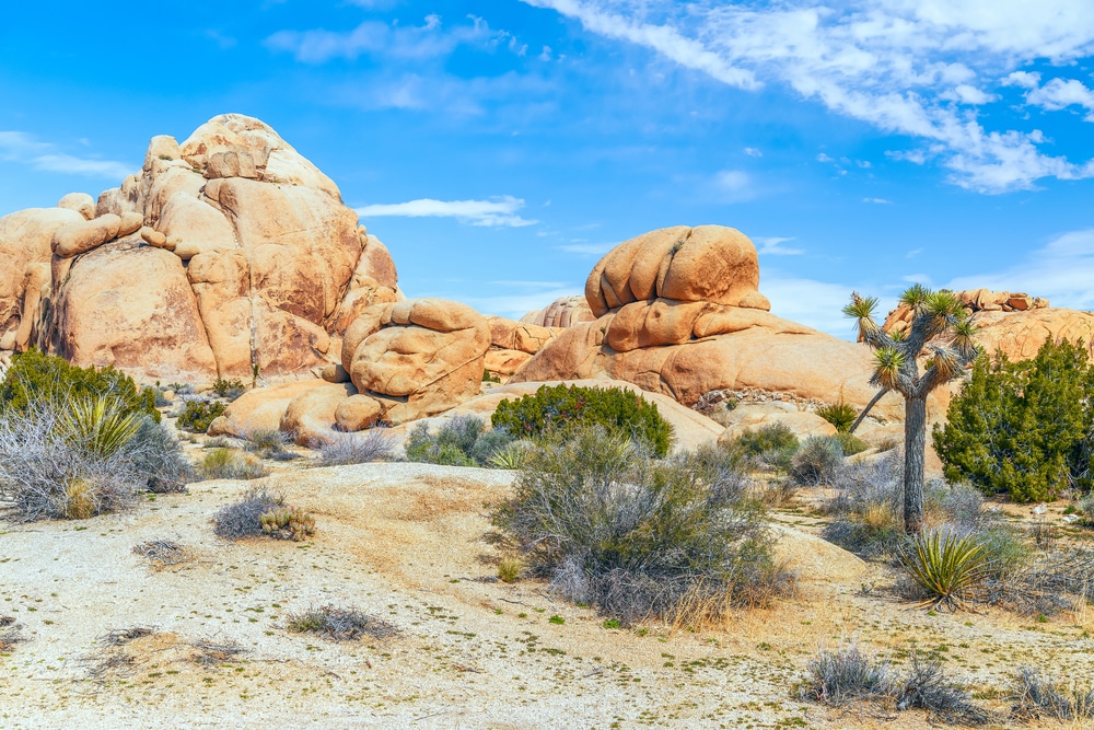 Sandstone formations at the Skull Rock Area. Joshua Tree National Park. California. USA