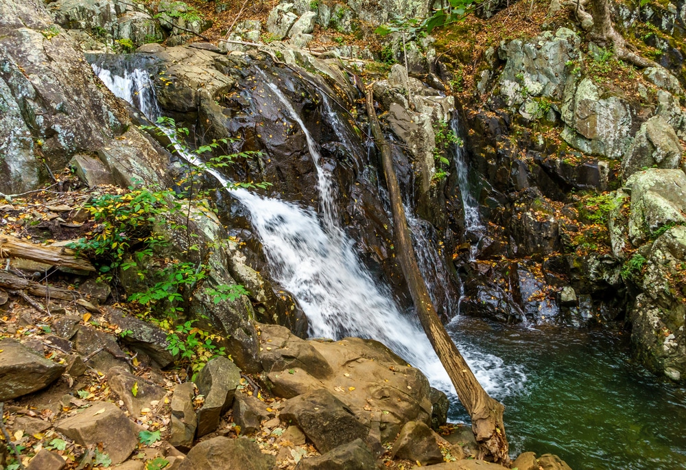 The Rose River Falls located off the Skyline Drive of the Shenandoah National Park.