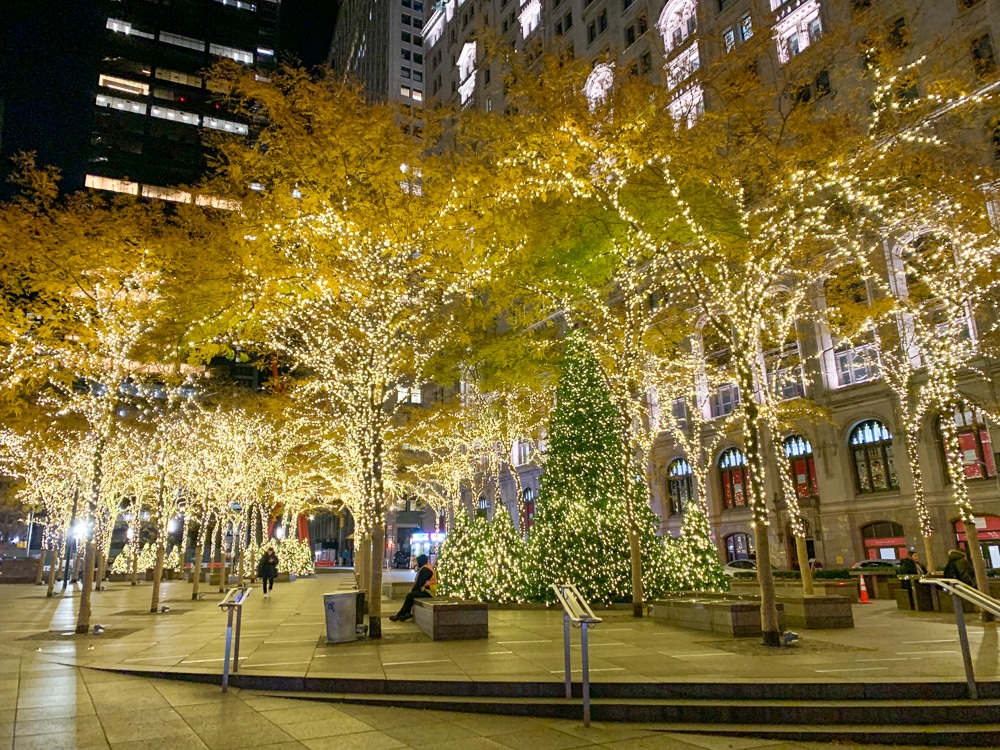 Zuccotti Park at Christmas in NYC lit up with lights all over the trees